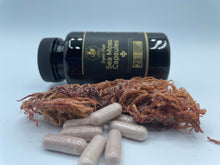 Load image into Gallery viewer, Sea Moss Capsules w/ Bladderwrack, Elderberry and Beets
